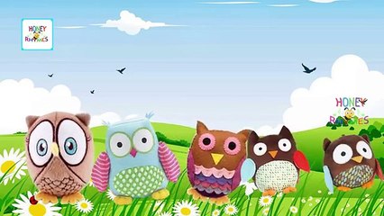 Finger Family Owl Family Nursery Rhyme | Owl Daddy Finger Nursery Rhymes & Songs For Children