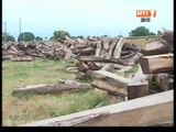 Sauvegarde de l'environnement: Lutte contre la déforestation au nord de la Côte d'Ivoire