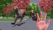 Finger Family Gorilla Lion Tiger Cheetah Bear cartoon for Kids 3D Finger Family Nursery Rhymes