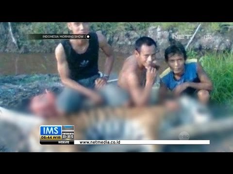 Fenomena Selfie Perburuan Satwa Dilindungi - IMS