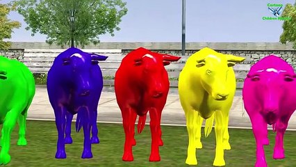 Bull Color Song For Childrens || English Nursery Rhymes For Cartoon Children Rhymes