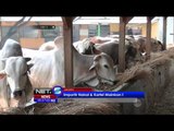 Agenda Hak Impor Daging Sapi di Jakarta - NET5