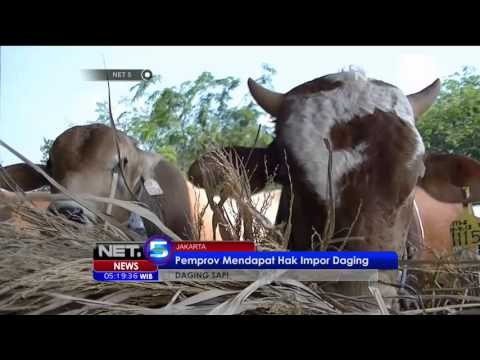 Ahok Dapat Restu Impor Daging Sapi - NET5