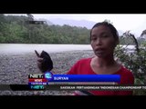 Destinasi Wisata Tangkahan di Langkat, Sumatera Utara - NET12