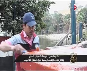 عمرو أديب: سيدة تقوم بتجميل كوبرى المانسترلى والحى يرفض التعاون معها