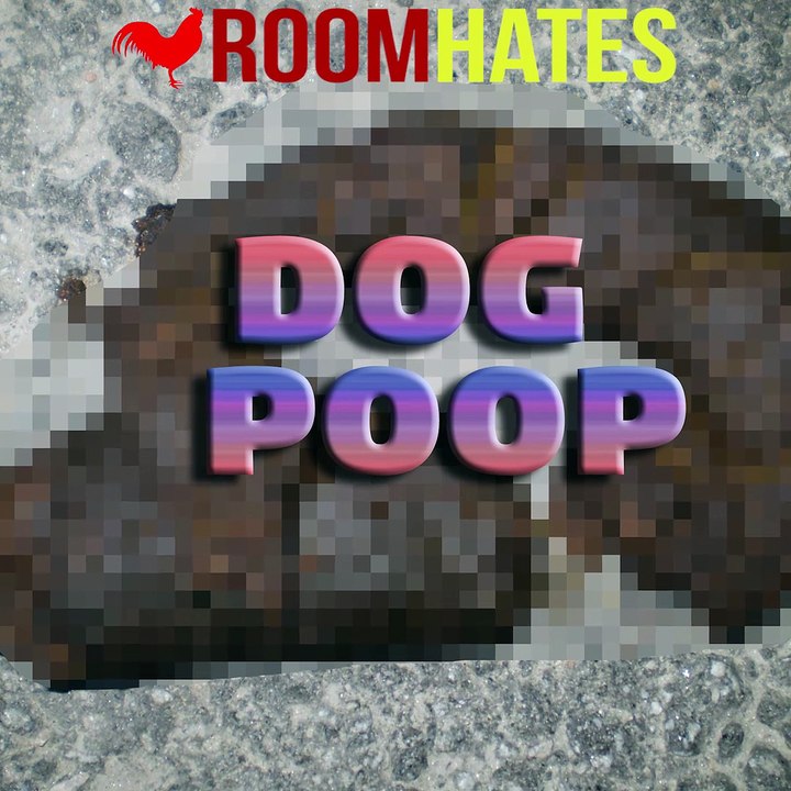 roomHATES " STEP IN DOGGIE DODO"???!!!!