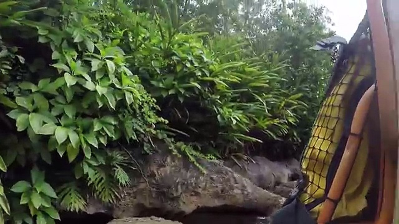 ANIMAL KINGDOM KALI RIVER RAPIDS WATER RIDE in Disney World Fun Kids Vacation