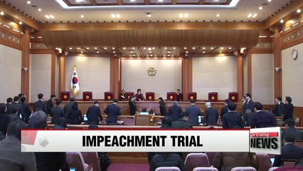 Constitutional Court to decide whether to accept more witnesses