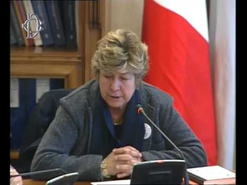 Roma - Lavoro accessorio, audizione esperti (26.01.17)