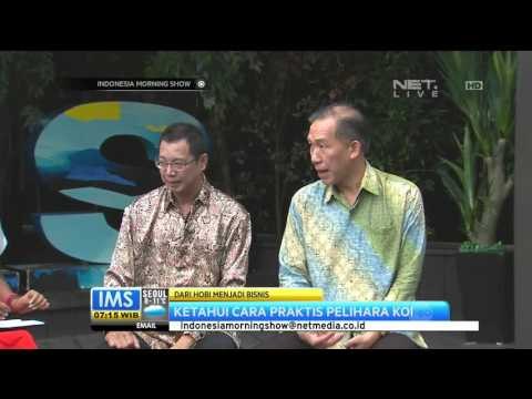 Talk Show Ketahui Cara Mudah Pelihara Koi - IMS