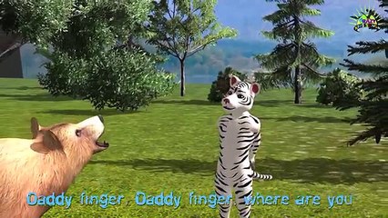 Animal Cartoons Finger Family Songs | Giant Dinosaur Tiger Finger Family Rhymes for Children