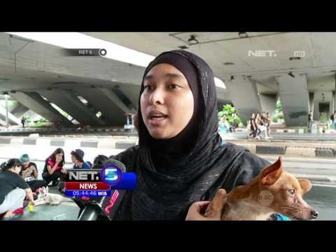 Jalan Santai Bersama Hewan Peliharaan di Hari Bebas Kendaraan - NET5