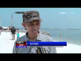 Ribuan Ikan Mati Terdampar di Perairan Pantai Ancol - NET12