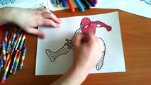 Spiderman New Coloring Pages for Kids Colors Superheroes Coloring colored markers felt pens pencils