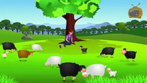 Little Bo Peep Has Lost Her Sheep - Childrens Song/Nursery Rhyme for Babies, Toddlers & Kids