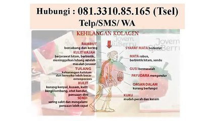 +62 813-3108-5165 (TSel) - Kolagen Surabaya, Collagen Surabaya