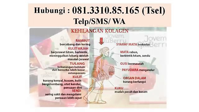 +62 813-3108-5165 (TSel) - Kolagen Surabaya, Collagen Surabaya