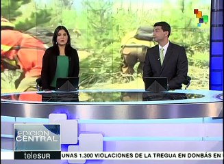 Autoridades chilenas informan que incendios forestales han disminuído