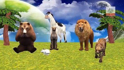 Horse Vs Tiger Finger Family Nursery Rhymes | Horse Vs Tiger Fight | Finger Family Songs For Kids