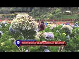 Taman Bunga Selecta Warisan Belanda Di Batu, Jawa Timur - IMS