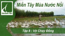 ĐẮC DANH FILM | MIỀN TÂY MÙA NƯỚC NỔI - TẬP 8 - VỊT CHẠY ĐỒNG