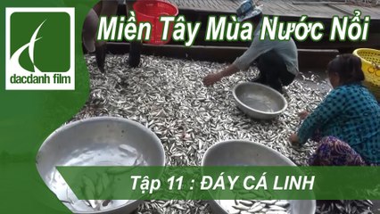 ĐẮC DANH FILM | MIỀN TÂY MÙA NƯỚC NỔI - TẬP 11 - ĐÁY CÁ LINH