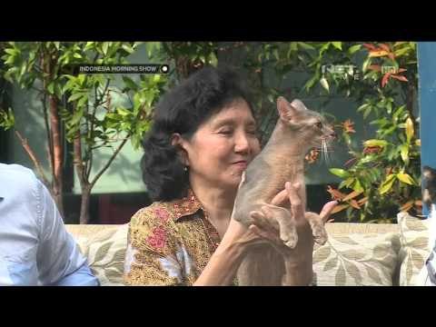 Talk Show Serba Serbi Kontes Kucing - IMS