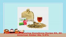 1 Gallon Home Brewing Homebrew Recipe Kit AllAmerican Amber Ale 59 e491ed60