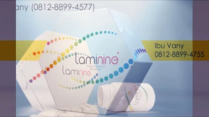 081288994755 (Ibu Stefani), Harga Produk Laminine, Harga Stem Cell Laminine,