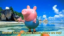 Finger Family Shark Family Nursery Rhyme | Learn Sea Animals | Peppa Pig Finger Family for children