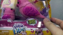 Little Live Pets Owl and Baby Toy Review tweet talking singing bird interactive toy