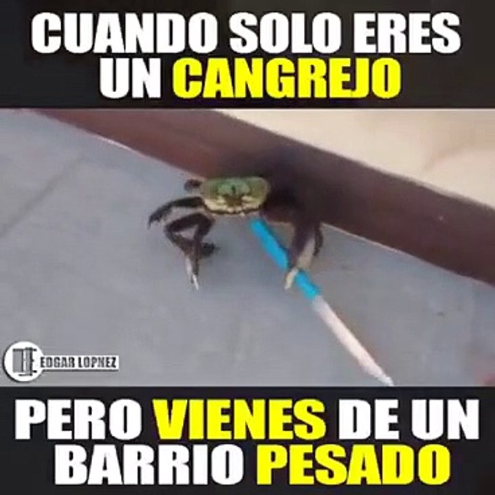 Puro Barrio