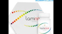 (WA) Ibu Vani 081288994755 Agen Laminine Di Surabaya,Distributor Laminine Bandung