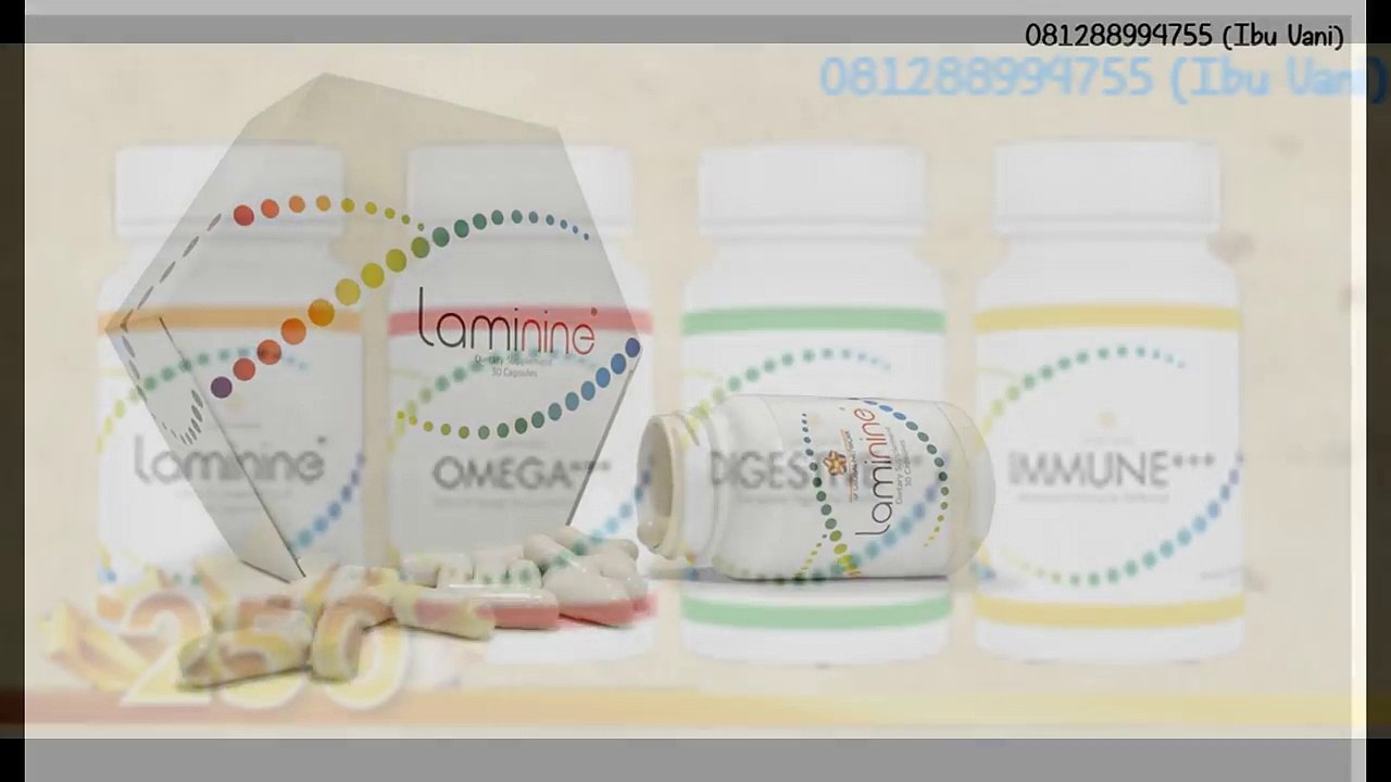 (WA) Ibu Vani 081288994755 Distributor Laminine Surabaya,Distributor Laminine Batam