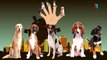 PUPPIES Finger Family Cartoon Animation Nursery Rhymes For Children