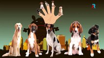 PUPPIES Finger Family Cartoon Animation Nursery Rhymes For Children