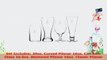Cathys Concepts Personalized Beer Glasses Letter F 963fba9d
