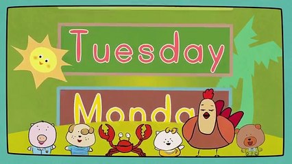 Days of the Week Song | The Singing Walrus