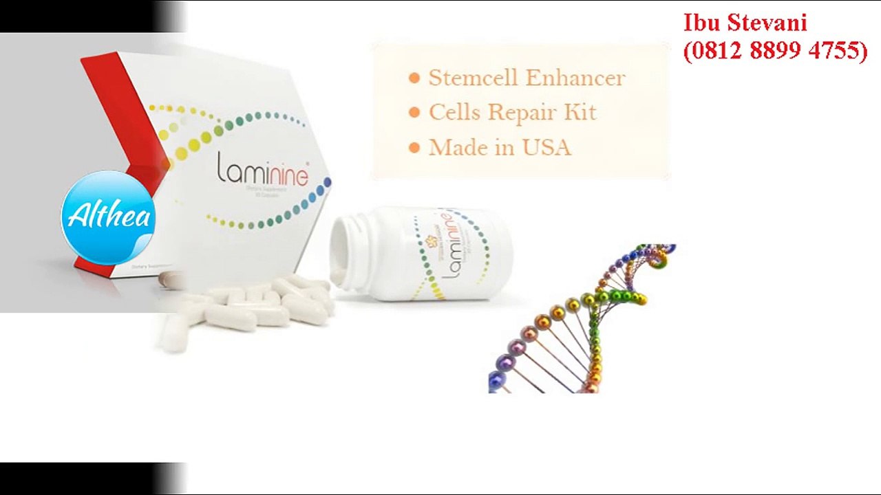 081288994755 (Ibu vani), Agen Laminine Jakarta Pusat, Agen Laminine Jakarta Timur