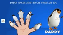 PENGUIN Finger Family Nursery Rhymes | Penguin Cartoon MY FINGER FAMILY RHYMES For Children