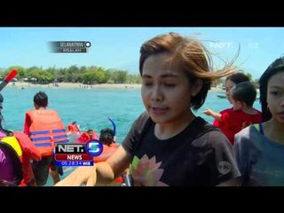 Sensasi Berenang dengan Ikan Hiu di Kampung Wisata Bangring, Banyuwangi - NET5