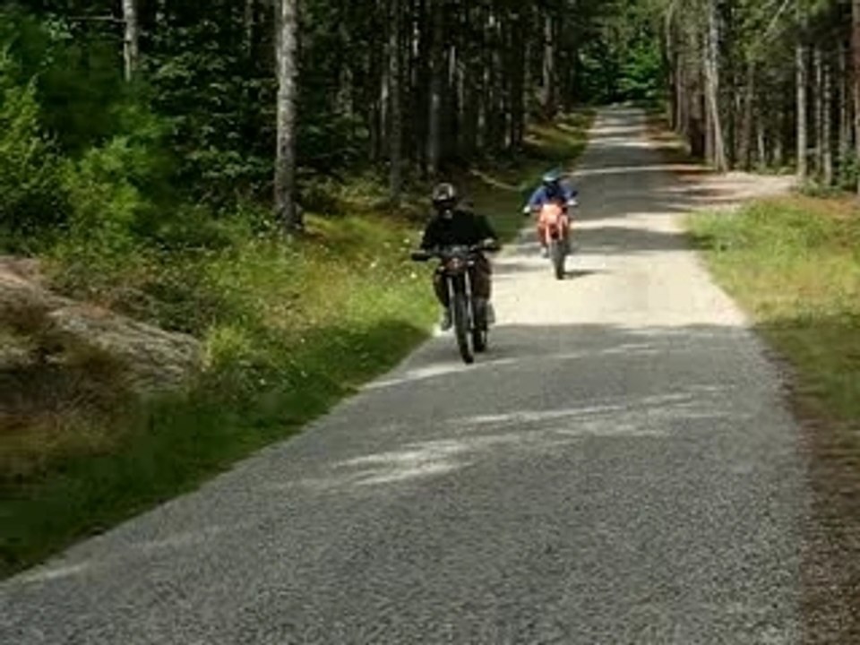 xp6 hebo manston revolution (no pro race polini evo malossi)