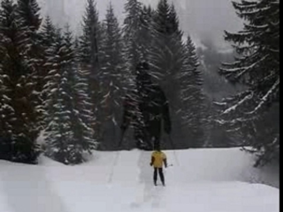 Dussski 2004