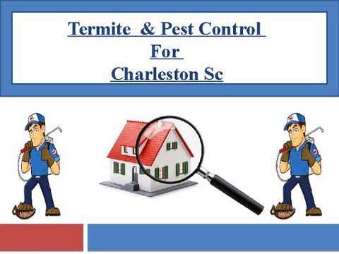 Termite & Pest Control for Charleston Sc