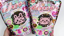 Japanese Candy Making Kit DIY Cute Bunny and Bear Shape Powder Art Desserts!-muNO6Rtjj1k