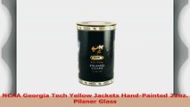 NCAA Georgia Tech Yellow Jackets HandPainted 22oz Pilsner Glass 87ad5130