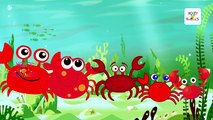Finger Family Nursery Rhymes Collection | Candy Crab Dog Elephant Cartoon Animal Daddy Finger Songs