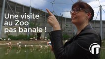 ZooPhonic app du Parc Zoologique de Paris | Inside Apps