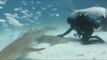 Diver Pets Nurse Shark in the Bahamas