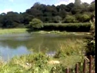 13th Aug me going to the shop